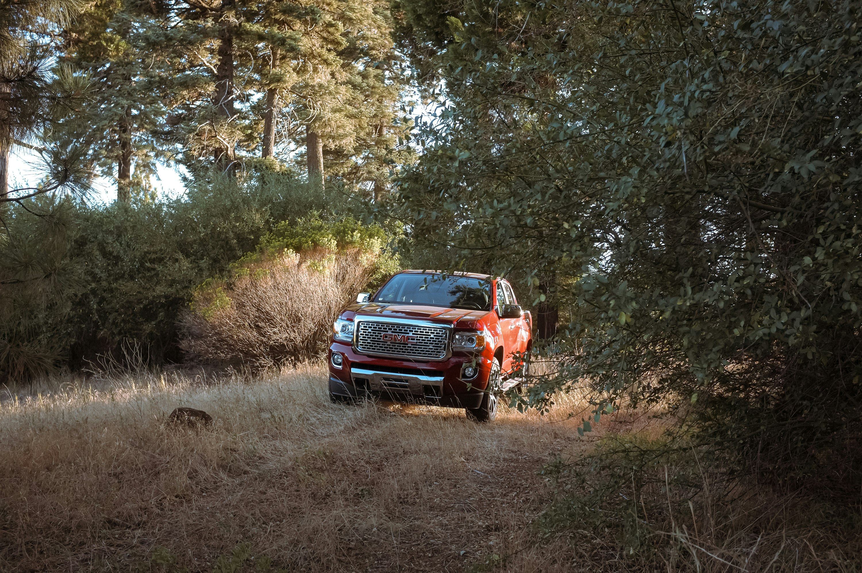 red pickup truck passing by a road in the forest